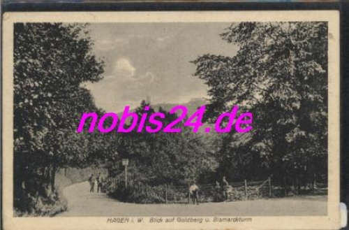 Hagen Westfalen Goldberg Bismarckturm o 1.10.1916