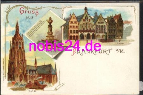 Frankfurt Main Litho Dom Roemer *ca.1900