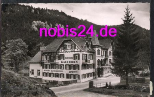 72270 Schoenmuenzach Kurhaus Waldhorn o 6.3.1959