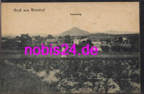 72351 Binsdorf Totale und Rosenberg *ca.1920