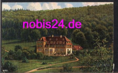 72805 Honau Albhotel Traifelberg o 1.5.1924