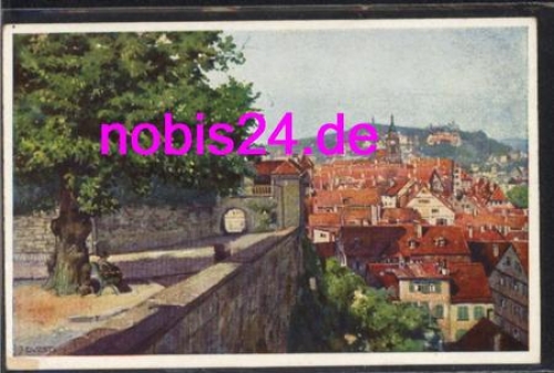 Tübingen Schlosslinde  Künstlerkarte *ca.1930