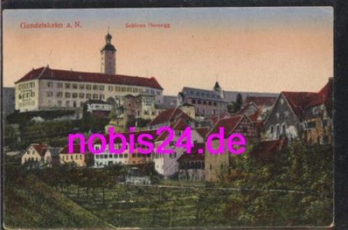 74831 Gundelsheim Schloss Hornegg *ca.1920