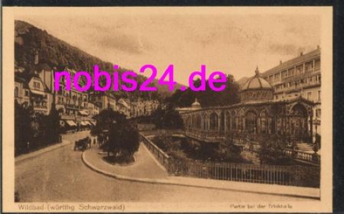 75323 Wildbad Partie an der Trinkhalle *ca.1920