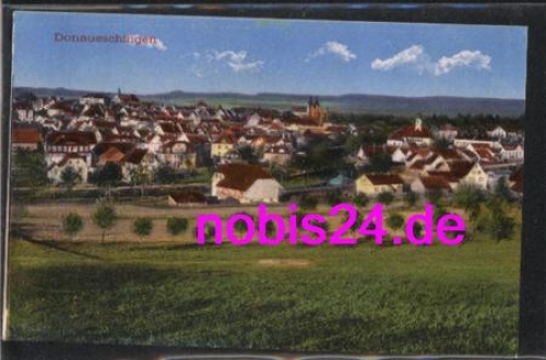 Donaueschingen  Gesamtansicht *ca.1920