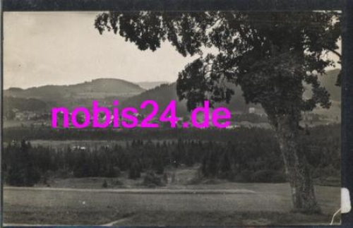 79856 Hinterzarten  *ca.1940