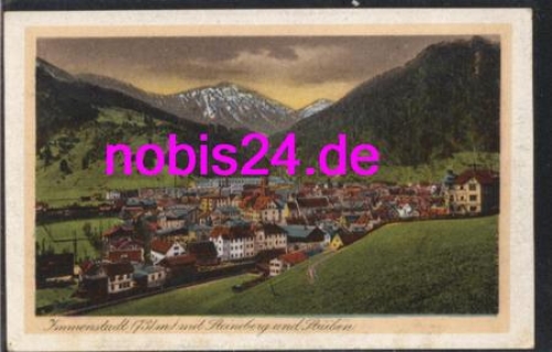 87509 Immenstadt mit Steineberg  *ca.1924