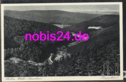 59929 Brilonwald Sauerland *ca.1930