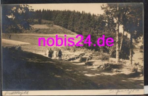 54589 Stadtkyll Hiking trails in the forest *ca.1935