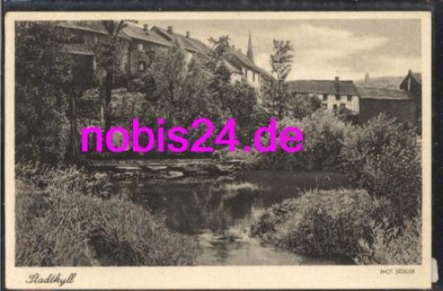 54589 Stadtkyll Eifel Teichumgebung *ca.1955
