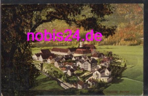 88631 Beuron vom Berg o 10.6.1910