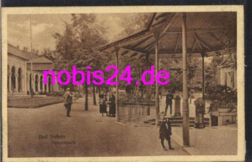95138 Bad Steben Tempelquelle *ca.1920