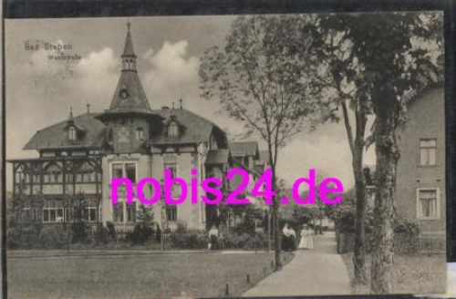 95138 Bad Steben Wenzstrasse o ca. 1930