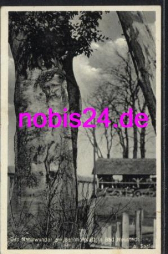 97616 Bad Neustadt Naturwunder *ca.1940