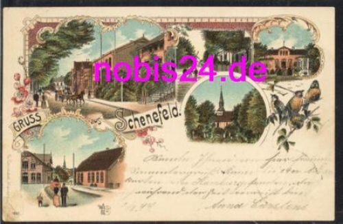 25560 Schenefeld Litho o 4.8.1899