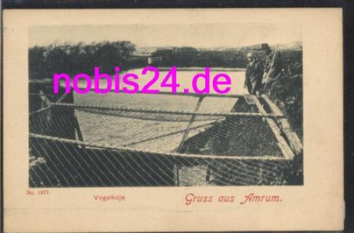 25946 Amrum Vogelkoje *ca.1900