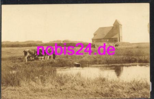 25980 Sylt Church of Weide Cows *ca.1930