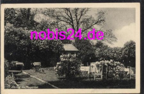 31683 Ölkrug am Bückeberg Kaffeegarten o ca.1952