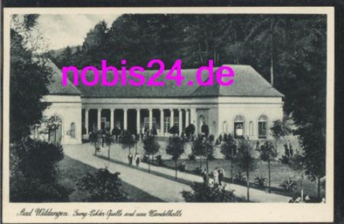 34537 Bad Wildungen Wandelhalle *ca.1930