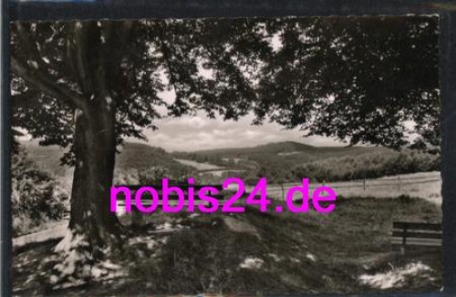 Blomberg Lippe Stadtwald o ca.1960
