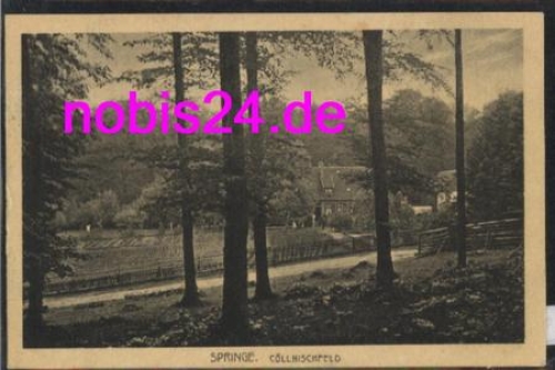 31832 Springe Coellnischfeld *ca.1920