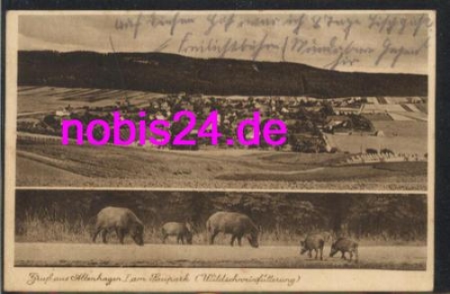 31832 Altenhagen Saupark wild boars o 20.10.1939
