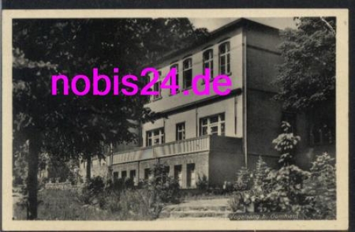 39245 Vogelsang bei Gommern o 1.7.1953