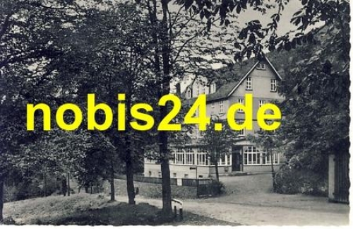 38685 Lautenthal Heim Waldkater o 18.5.1966