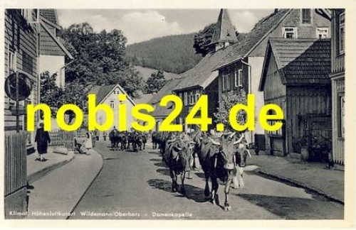38709 Wildemann Kühe Damenkapelle o 4.6.1952
