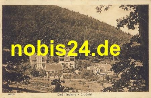 38667 Bad Harzburg Crodotal o 8.4.1920 