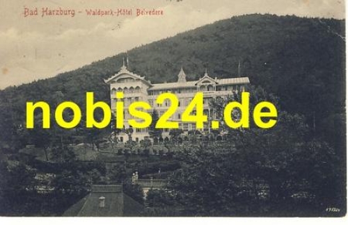 38667 Bad Harzburg Waldparkhotel Belvedere o 1917