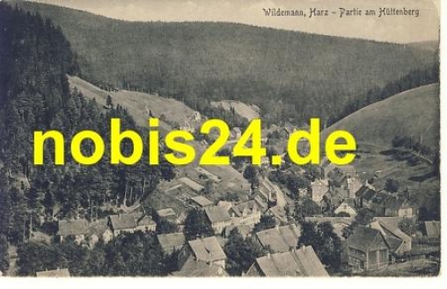 38709 Wildemann Harz am Hüttenberg *ca.1920