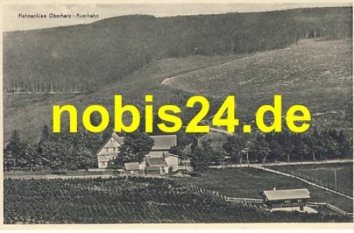 38640 Hahnenklee Oberharz Auerhahn *ca.1930