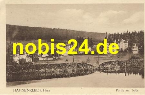 38600 Hahnenklee Harz am Teich o 16.9.1924
