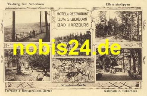38667 Bad Harzburg Waldpark Silberborn o 23.3.1913