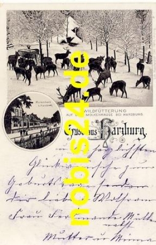 38667 Harzburg Litho wild feeding deer o 1900