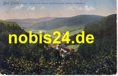 37537 Bad Grund Harz Blick in das Tal o 1.5.1916