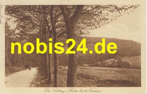 37603 Solling Partie bei Neuhaus o 10.8.1921