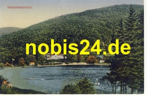 37431 Bad Lauterberg Wiesenbekerteich *ca.1920