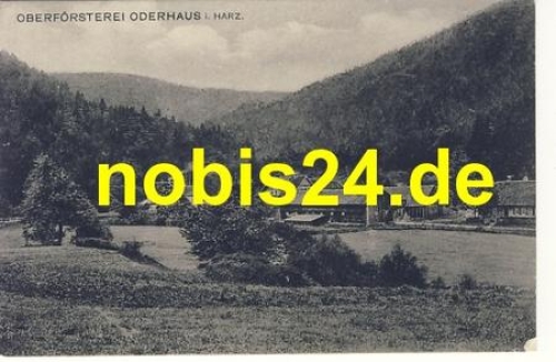 37444 Oderhaus  Harz Forestry District *ca.1920