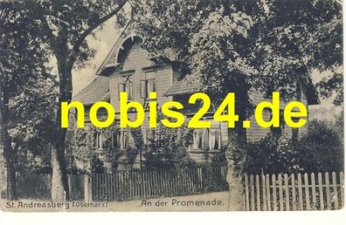 St. Andreasberg An der Promenade o 1910