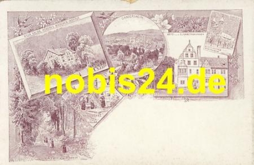 37581 Gandersheim precursor Litho *ca.1900