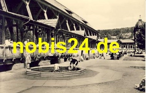 36433 Bad Salzungen Im Gradiergarten o 30.11.1960