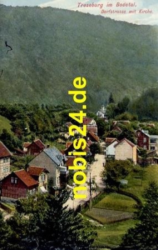 38889 Treseburg Bodetal Dorfstrasse o ca.1920