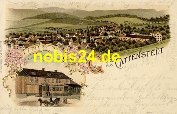 38889 Cattenstedt Gasthof Litho o 13.1.1898