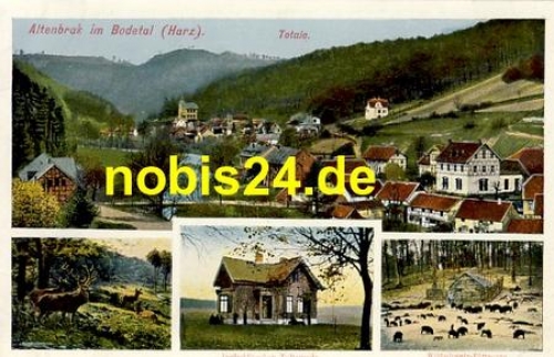 38889 Altenbrak Bodetal *ca.1920