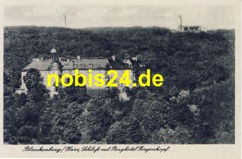 38889 Blankenburg Berghotel Ziegenkopf *ca.1950