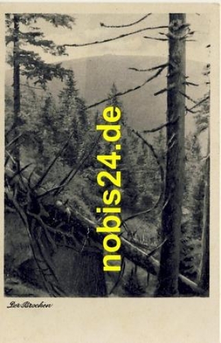 38875 Brocken Waldidylle o 4.9.1951