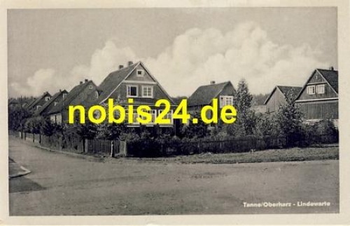 38875 Tanne Oberharz Lindewarte *ca.1940