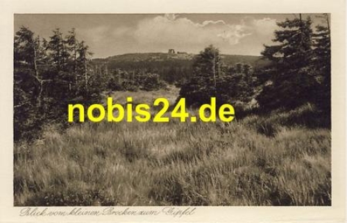 38879 Brocken vom kleinen Brocken *ca.1930